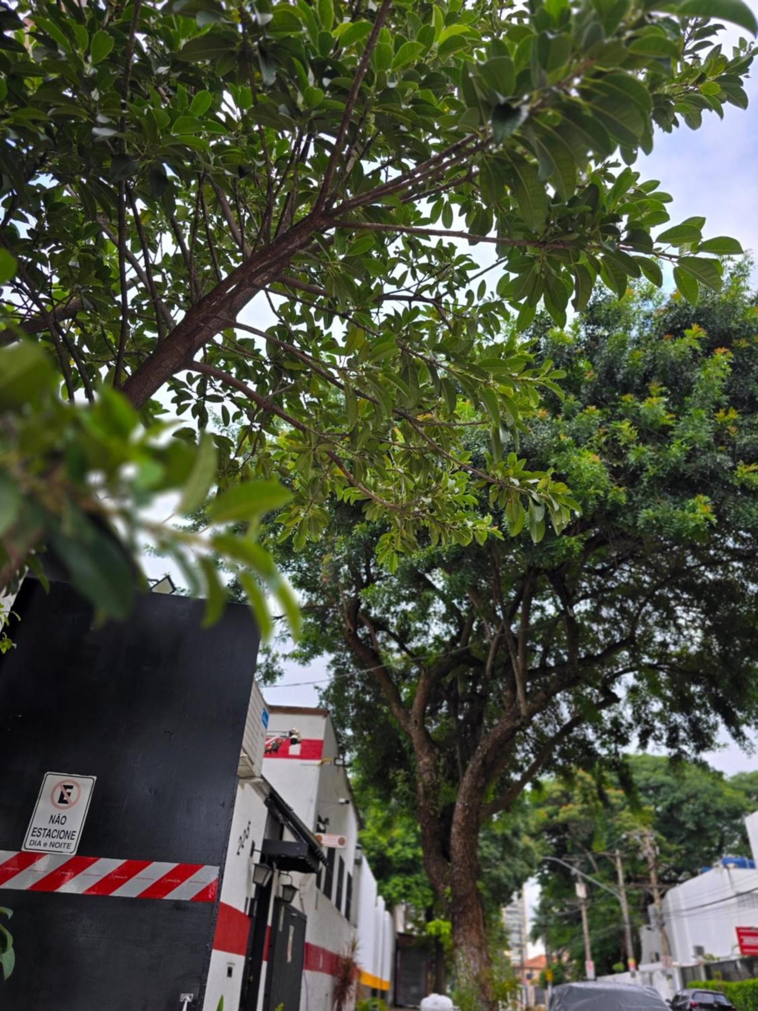 Luxo Ar Condicionado Split São Paulo